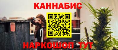 mdpv Можга