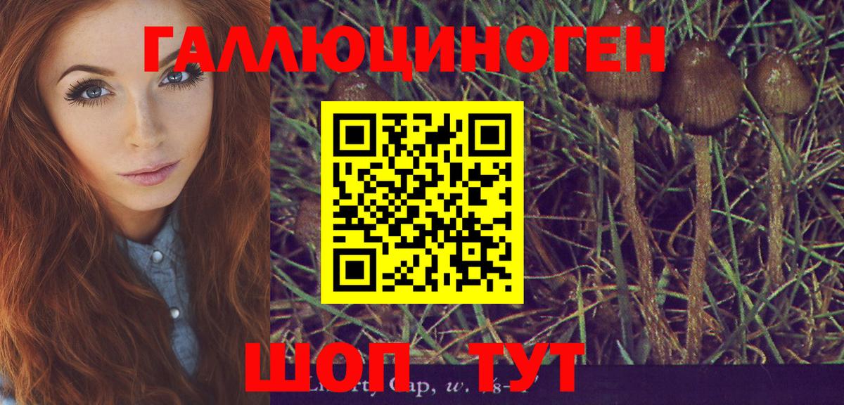 Псилоцибиновые грибы Cubensis  Вход с VPN  Бийск  Галлюциногенные грибы MAGIC MUSHROOMS 
